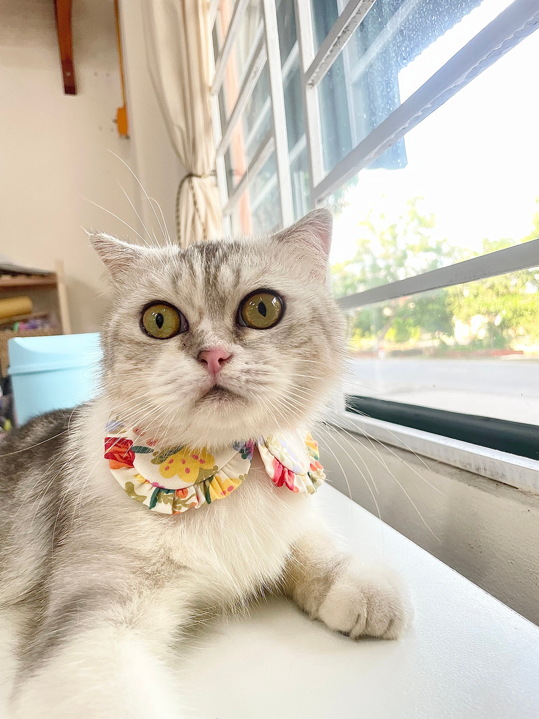 ハンドメイドピアス2659 ハンドメイドピアス2659