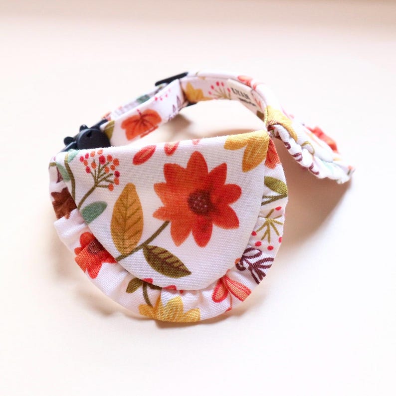 May include: A floral pet collar with a white background and orange, yellow, and red flowers. The collar has a black buckle and a ruffled edge. The design includes leaves and berries.