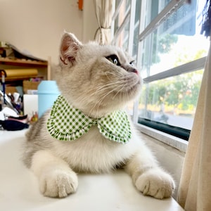 Cat Collar, Shirt cat collar, Checked cat collar, Styled cat collar, Unique cat collar, Safety collar with bell, Cat gifts, Gift for cat