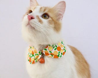 Cat Collar, Shirt cat collar, Orange cat collar, Styled cat collar, Unique cat collar, Safety collar with bell, Cat gifts, Gift for cat