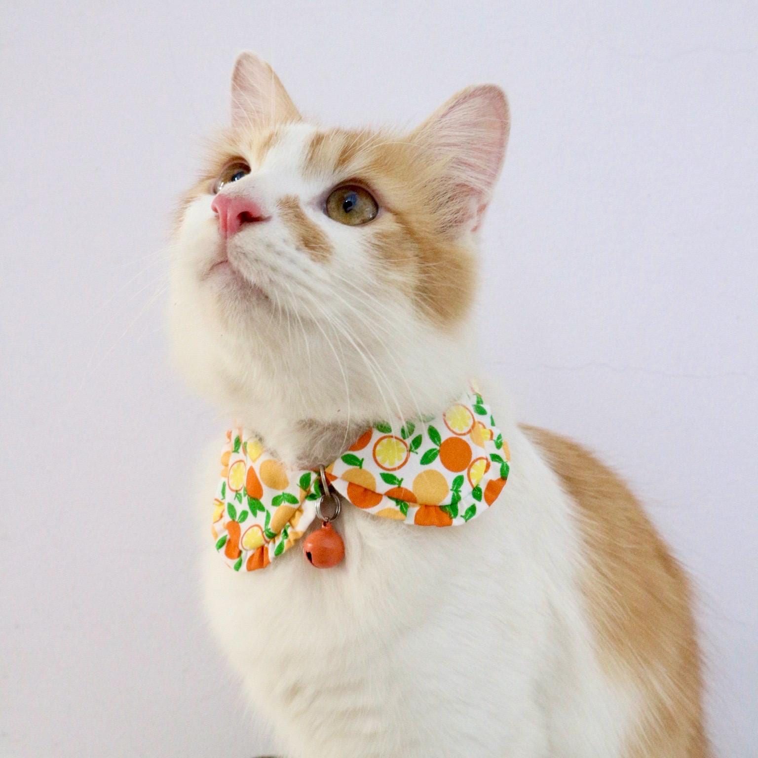 Paletta Per Lettiera Gatti Con Base - Plastica ABS, Facile Da Pulire, Design Pratico - Foto 6