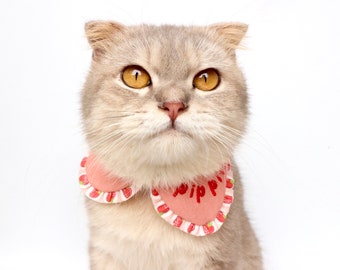 May include: A close-up of a light gray cat with yellow eyes wearing a pink and red strawberry patterned collar with the word "WIPP" embroidered on it.