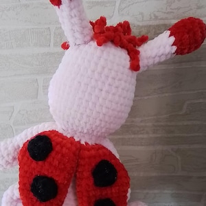 Ladybug Willi