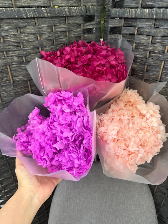 Preserved Hydrangea Bunch