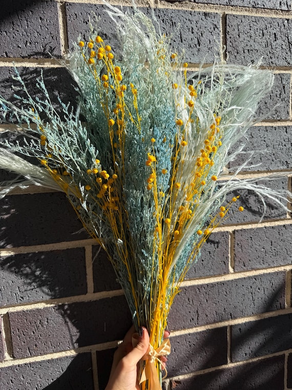 Dried and Preserved Blue misty