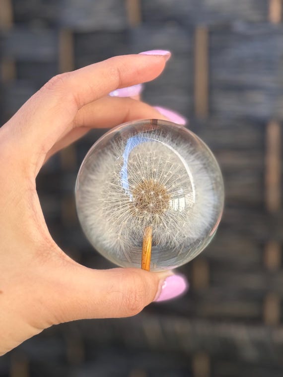 Preserved Dandelion Resin Lamp