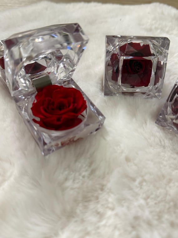 Tiny preserved Red rose