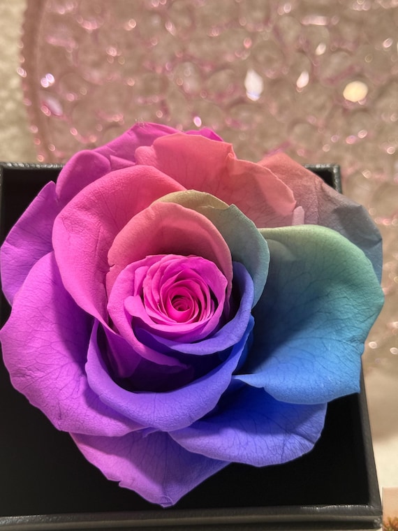 Preserved Rainbow Rose box