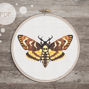 Può includere: Schema a punto croce di una sfinge testa di morto in un telaio da ricamo. La falena presenta dettagli pixelati marroni, gialli e beige. La parola "PDF" è in un cerchio bianco in alto a sinistra.