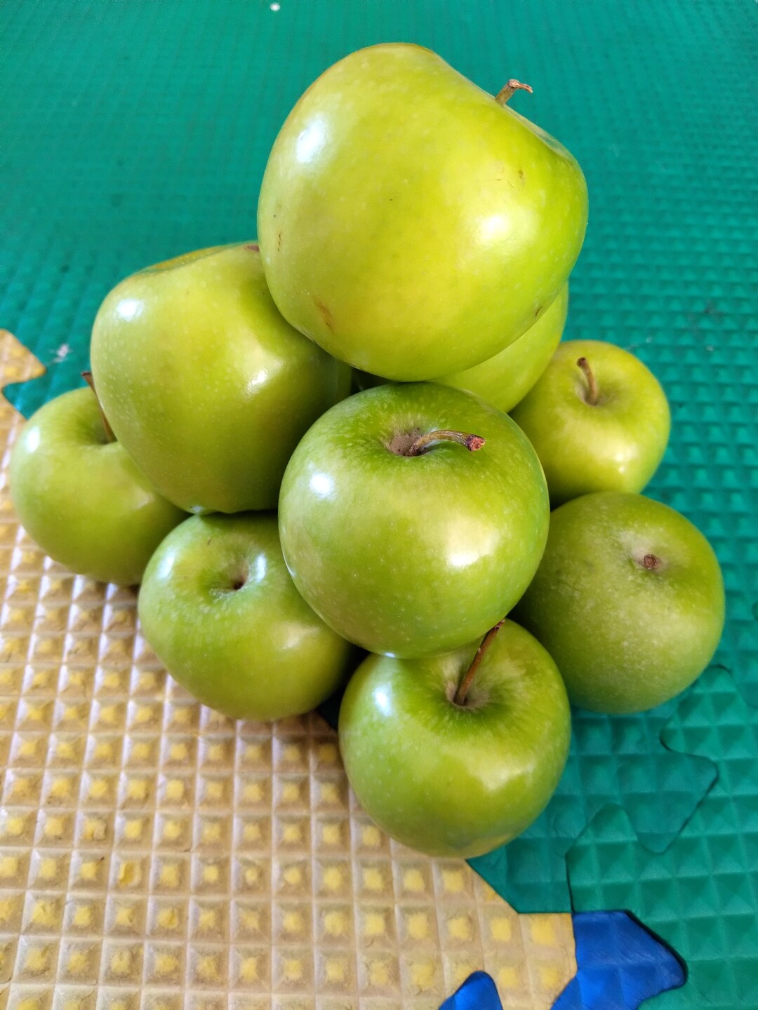 25 Granny Smith Apple Seeds no Gmo New Organic Usa Seller Etsy