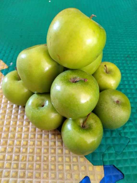 Organic Granny Smith Apples