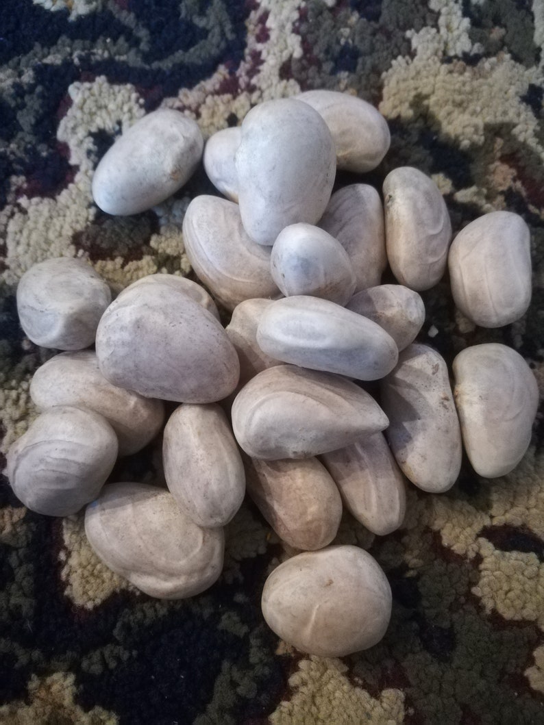 May include: A pile of smooth, light brown, oval-shaped stones. The stones are arranged in a random pattern on a patterned surface.