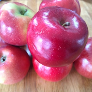 Puede incluir: Un grupo de manzanas rojas sobre una superficie de madera. Las manzanas son brillantes y tienen una textura lisa.