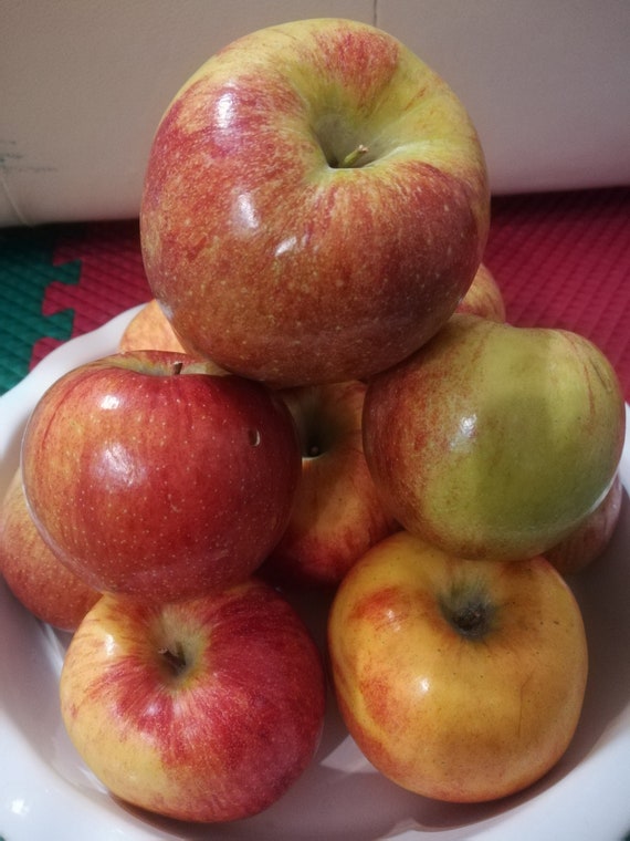 Order Organic Envy Apples