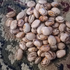 May include: A pile of brown and white speckled beans. The beans have a mottled pattern and are arranged in a random pile.