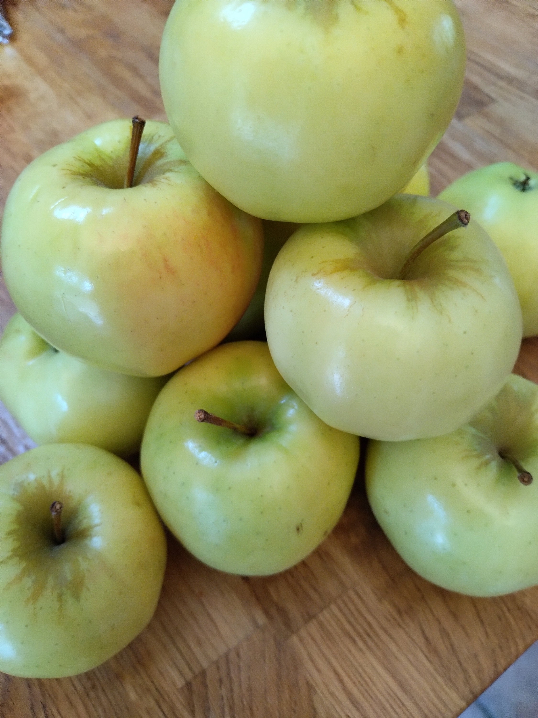 3 Semi Di Melo Nano Biologico - Golden Delicious - Albero Da Frutto Da Esterno, Spedizione Rapida