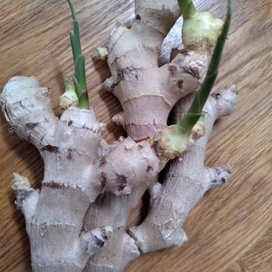 2  organic ginger, new USA seller. organic no GMO , usa seller.