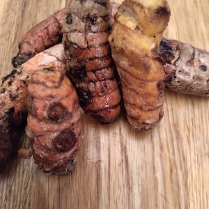 May include: A group of five turmeric roots, some with brown skin and others with yellow skin, are arranged on a wooden surface.