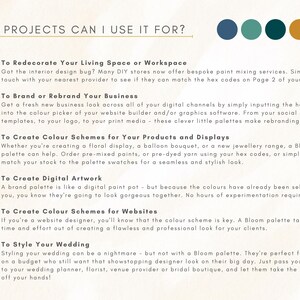 Luxury Color Palette Brand Color Palette With Hex Codes Premium ...