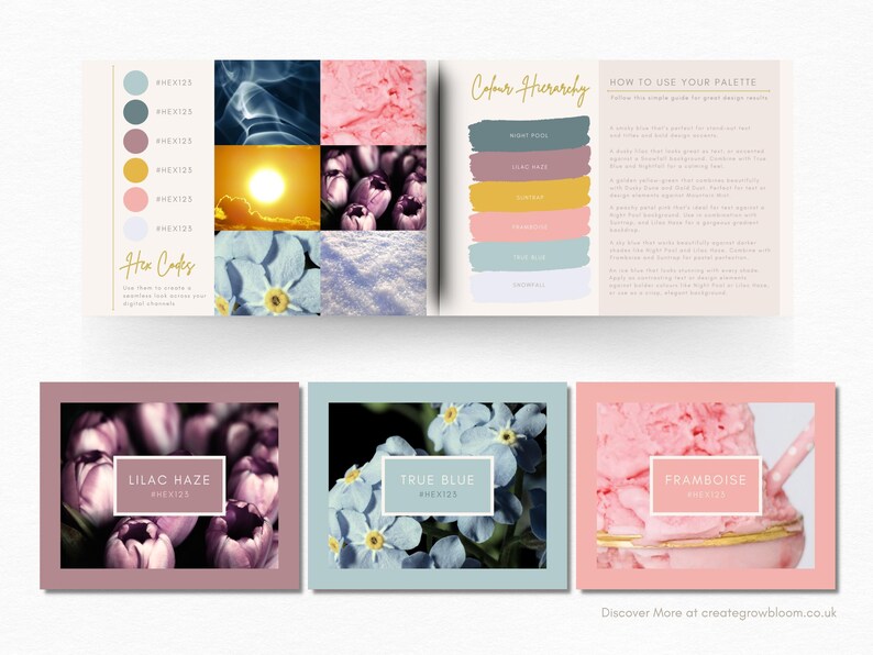 May include: A colour palette guide with a colour hierarchy chart and three colour swatches. The swatches are labelled "Lilac Haze", "True Blue", and "Framboise". Each swatch features a close-up image of a flower or a food item.