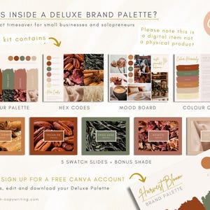 Luxury Color Palette | Brand Color Palette With Hex Codes | Premium ...