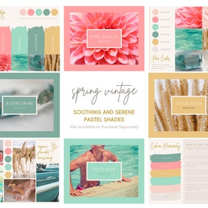 SAVE 10% Pastel Brand Palette Bundle Editable Canva Colour Palette With ...
