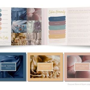 Luxury Brand Color Palette | Color Palette With Hex Codes | Premium ...