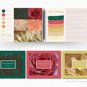 May include: A color palette guide with swatches of green, pink, orange, yellow, and beige. The guide includes hex codes for each color and a color hierarchy chart. The colors are inspired by nature, with images of leaves, flowers, and gold.