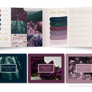 Luxury Color Palette | Brand Color Palette With Hex Codes | Premium ...