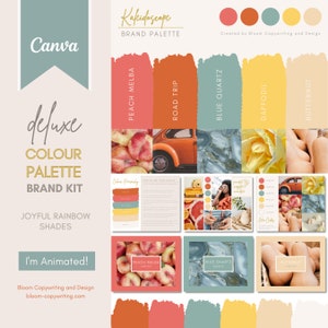 Deluxe Brand Palette  | Editable Canva Colour Palette with Hex Codes | Small Business Branding Kit | Retro Rainbow Colour Palette
