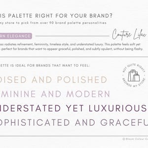Luxury Color Palette | Brand Color Palette with Hex Codes | Premium Business Branding Kit | Canva Color Palette | Lilac Color Palette afbeelding 3