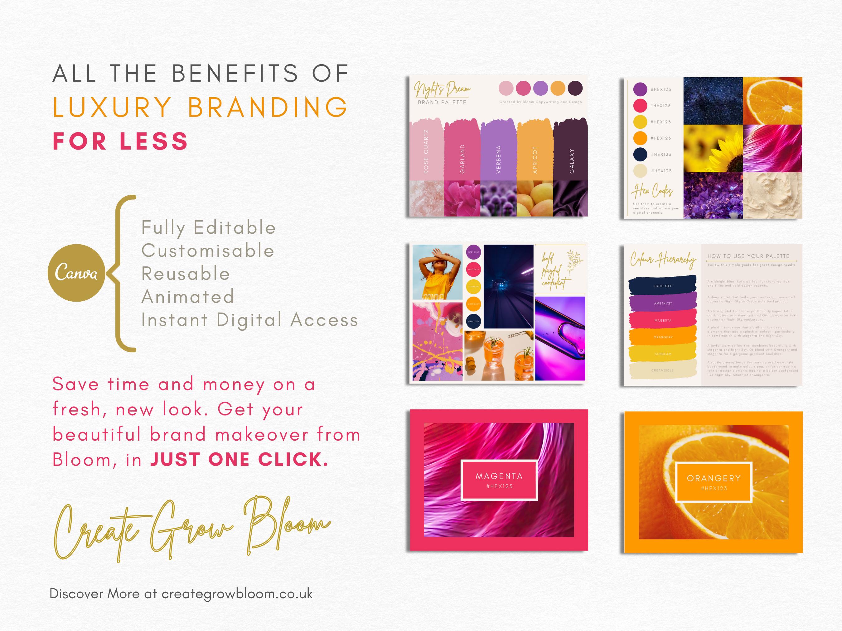 Later Color Luxury Color Palette | Brand Color Palette With Hex Codes | Premium ...