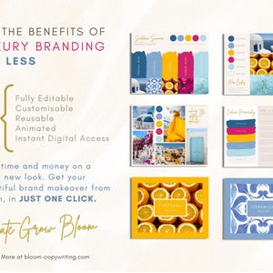 Luxury Brand Color Palette | Canva Color Palette With Hex Codes ...