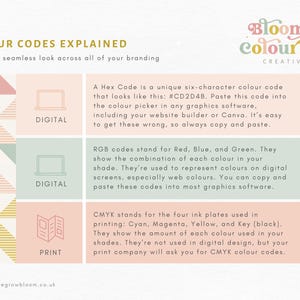 Elegant Brand Colour Palette With Fonts - Canva Brand Palette With CMYK ...
