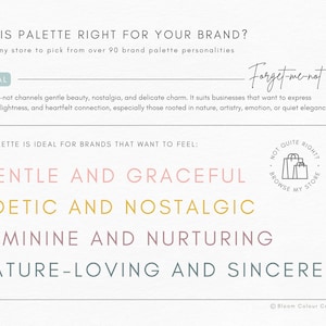 Luxury Brand Color Palette | Color Palette with Hex Codes | Premium Business Branding Kit | Canva Color Palette | Pastel Color Palette image 3