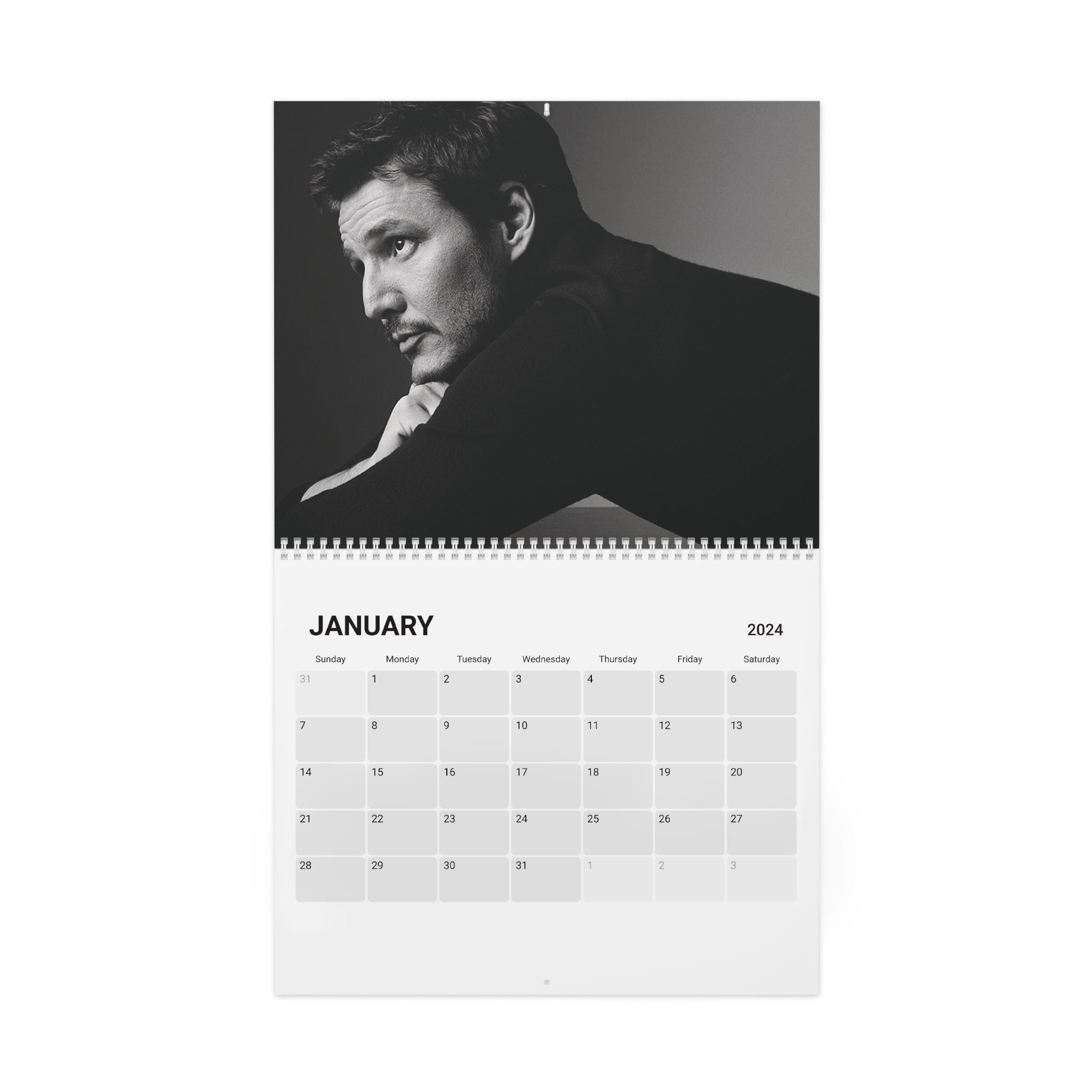 Pedro Pascal 2024 Calendar sold by Guilty Difference SKU 3787894