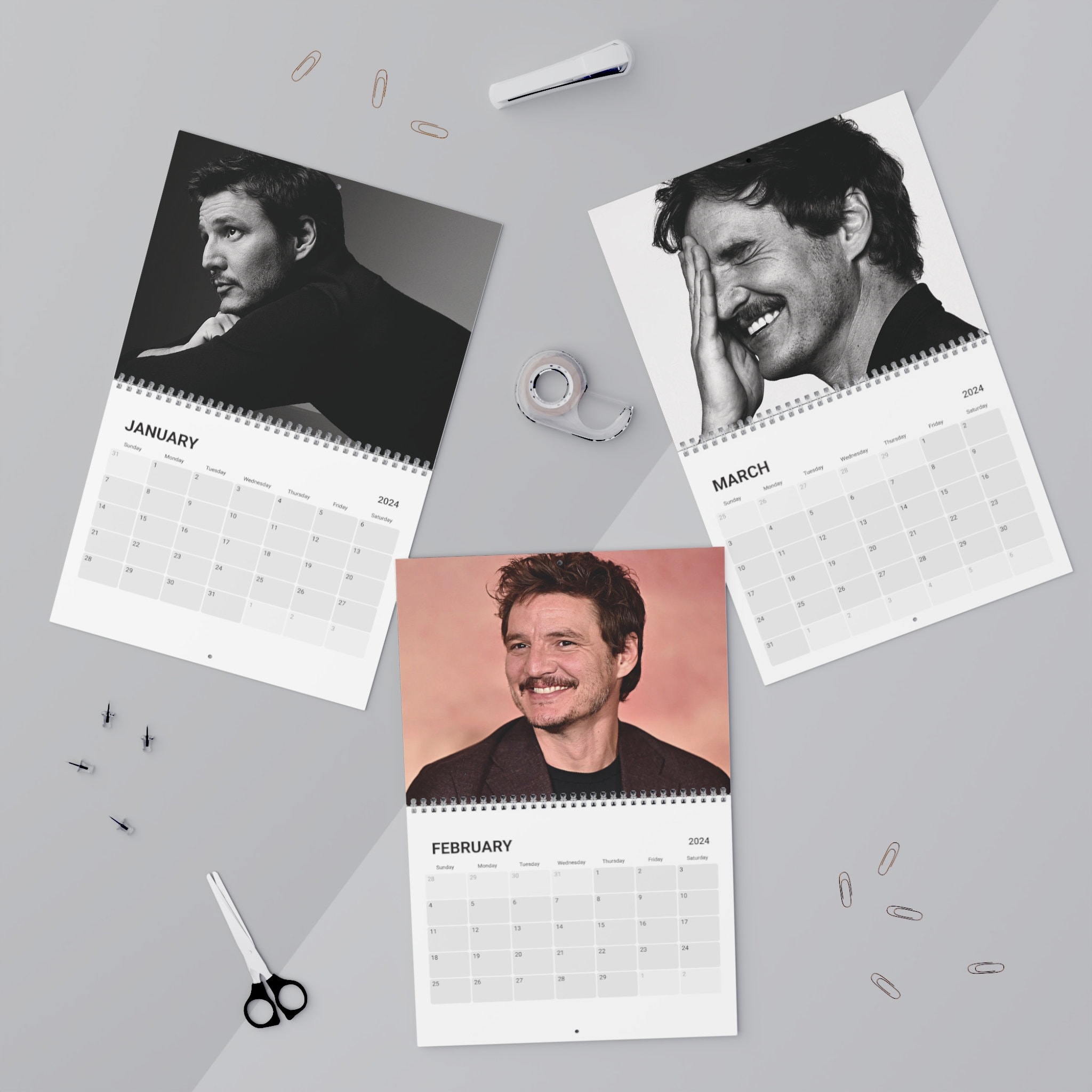 Pedro Pascal 2025 Calendar Etsy
