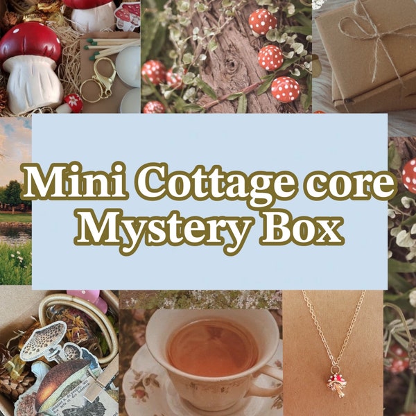 Cottage Core Mystery Gift Box| Cute Mystery Box