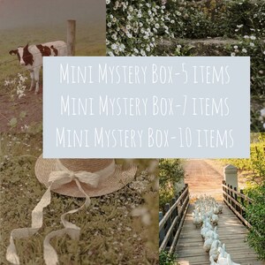 Cottage Core Mystery Gift Box Cute Mystery Box image 3