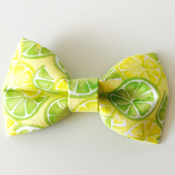 Lime Print Dog Bow Tie – Fruit Pattern Pet Accessories