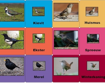 memoria de aves