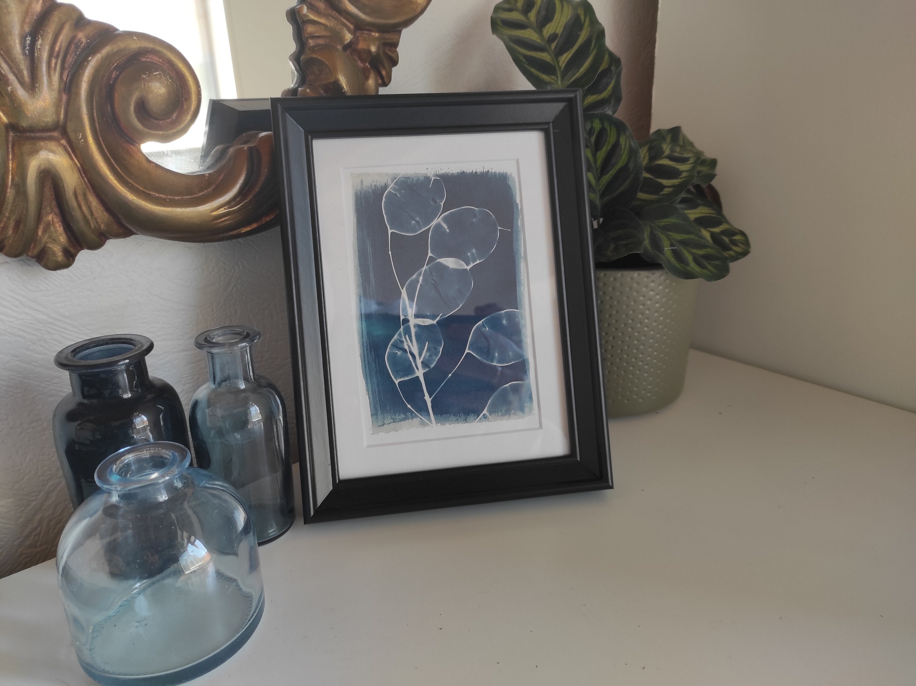 Cyanotype Encadré Monnaie Du Pape, Lunaire