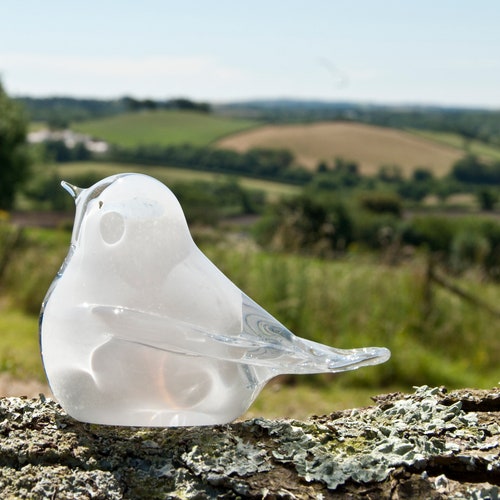 Ashes in Glass Pet Memorial Keepsake Cremation Glass Etsy