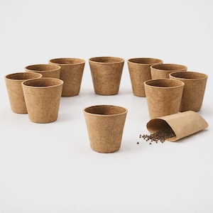 Scattering Ashes Coir Toasting Cups & Wildflower Seeds Set of 10