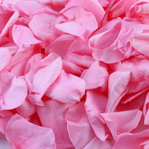 Real Soft Rose Petals -1 Litre - Preserved Long Lasting - 100% Biodegradable - Not Dried - Red Pink Yellow and White