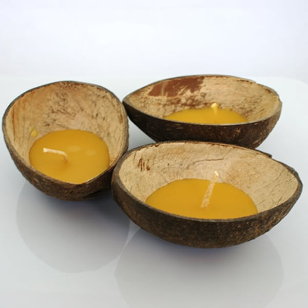 Kokosnuss-Shell-Kerzen schwimmend mit Bienenwachs oder Kokosnusswachs Umweltfreundliches, biologisch abbaubares Set von 3