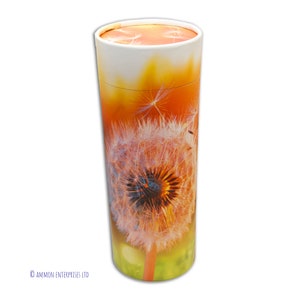 Scatter Tube and Record - Dandelion Flower - Ashes Urn Biodegradable - One Person