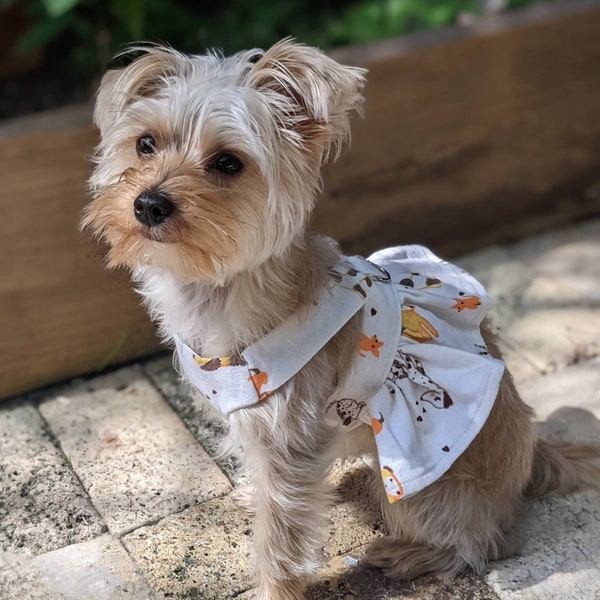 Cute Dog Clothes Etsy