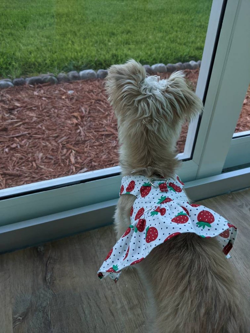 Strawberry Dog Harness Dress Strawberry Dog Clothes Summer Etsy