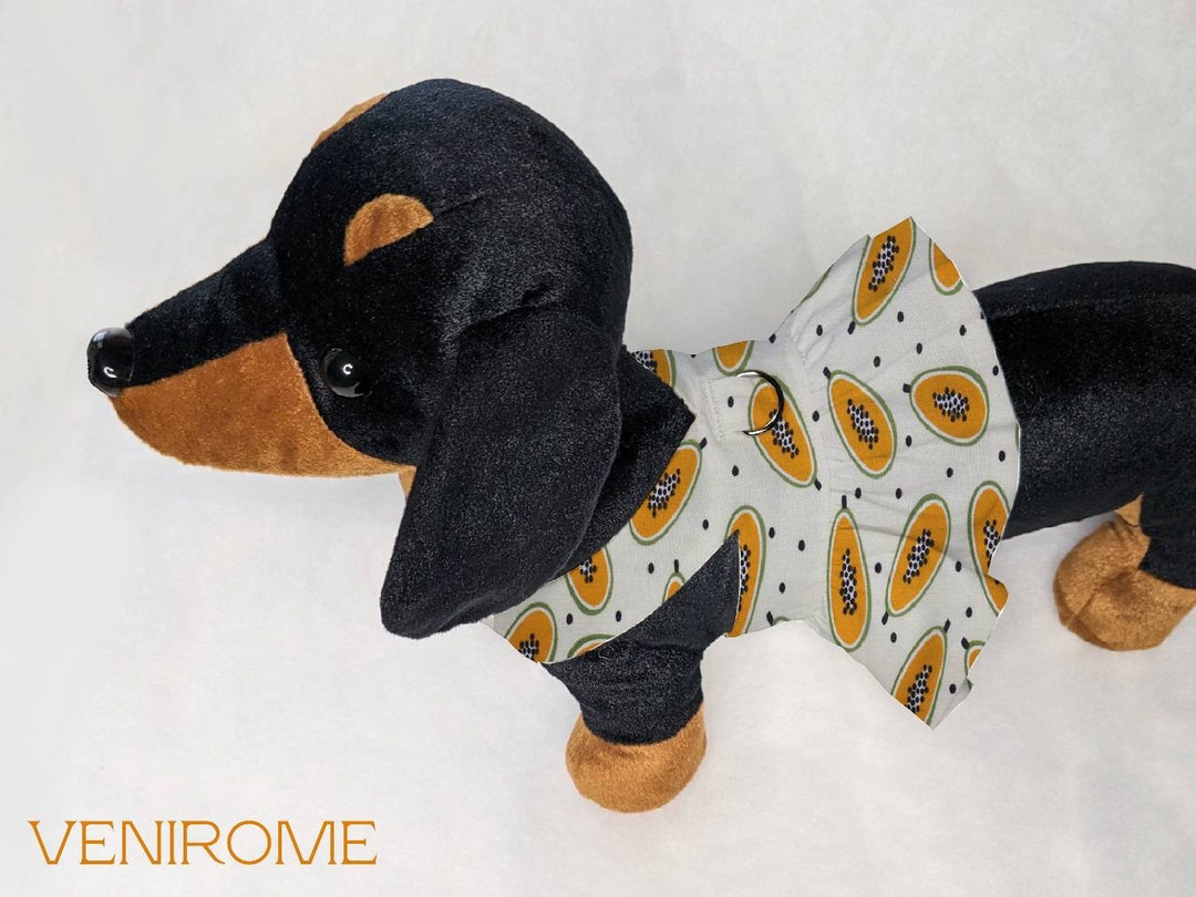 Papaya Dog Harness Dress Tropical Dog Clothes Summer Puppy Clothes